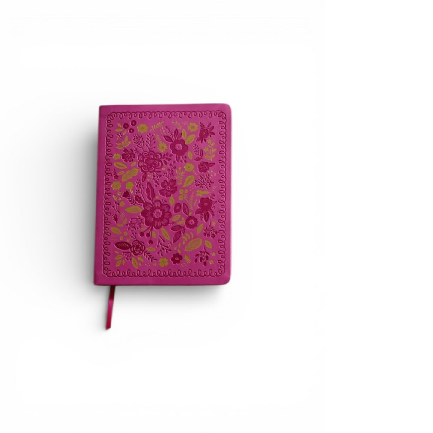 Bible for Girls with Bible Sleeve